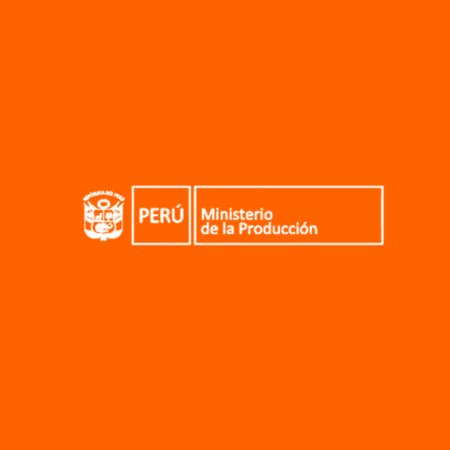 Partner 7